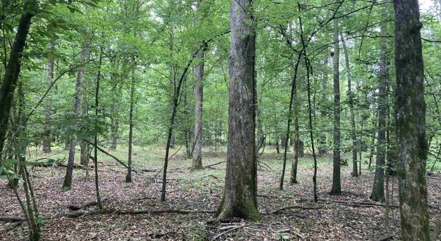 Photo of 000 Krause Rd, Homer, LA 71040