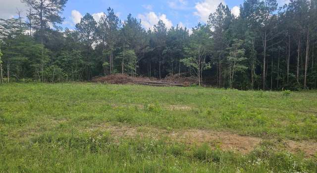 Photo of 00 Jackson Rd, Collinston, LA 71229