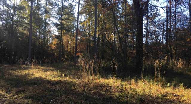 Photo of 000 Highway 552, Downsville, LA 71234