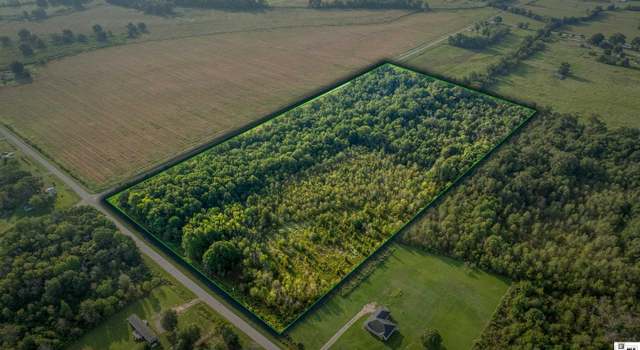 Photo of 0 Ollie Morris Rd, Rayville, LA 71269