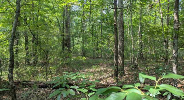 Photo of 0 Highway 15, Downsville, LA 71234