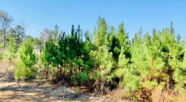 Photo of 00 Highway 2, Farmerville, LA 71241