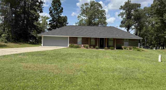 Photo of 163 Suanna Ln, Chatham, LA 71226