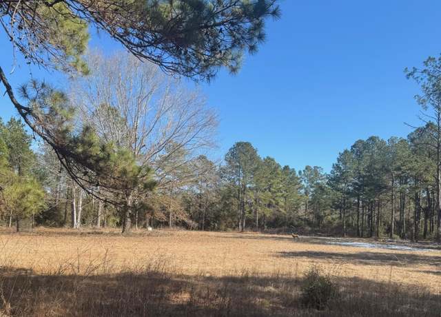 Property at Pippin Wilcox Rd, Deridder, LA 70634