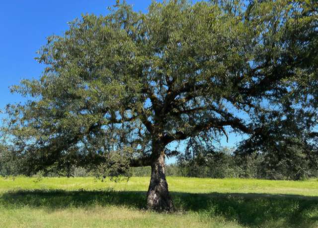 Property at Farris Loop, Merryville, LA 70653