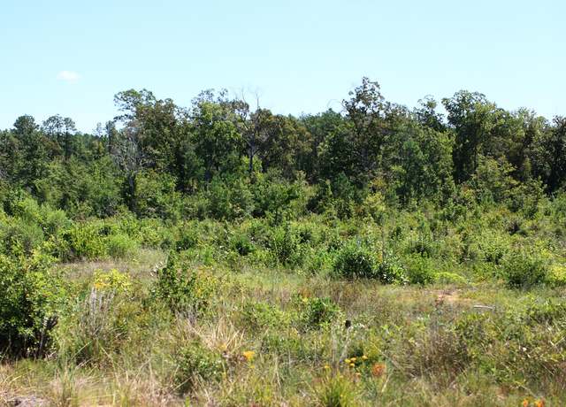 Property at Lot 7 Lebleu Settlement, Leesville, LA 71446