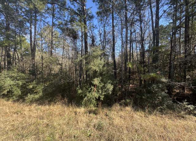 Property at Hwy 111, Deridder, LA 70634