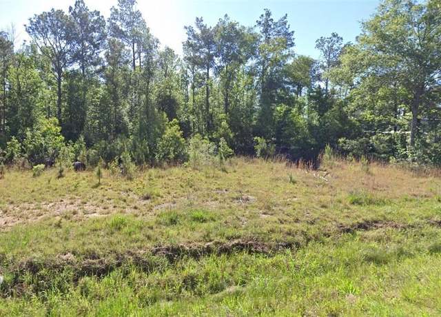 Property at Newt Hodges Rd, Ragley, LA 70657