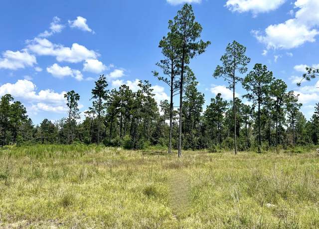 Property at Sandy Loop Tract 3, Merryville, LA 70653