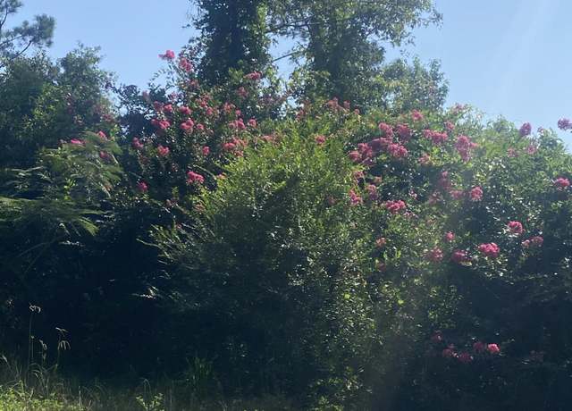 Property at Hwy 113, Deridder, LA 70634