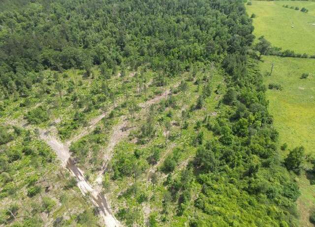 Property at Claude Gill Rd, Leesville, LA 71446