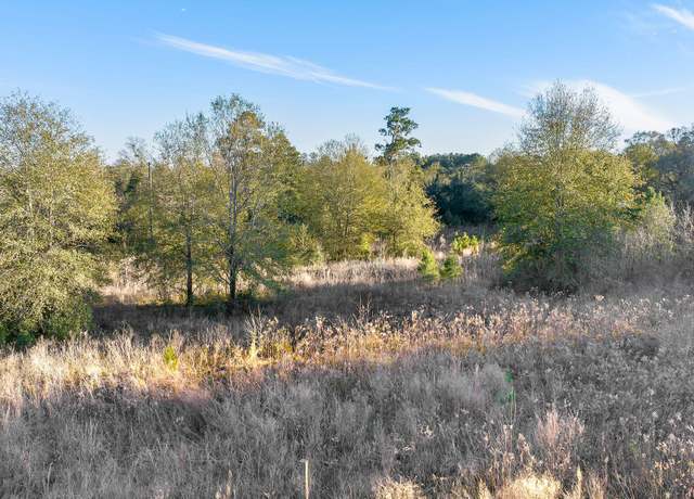 Property at Tbd Planer Ml, Deridder, LA 70634