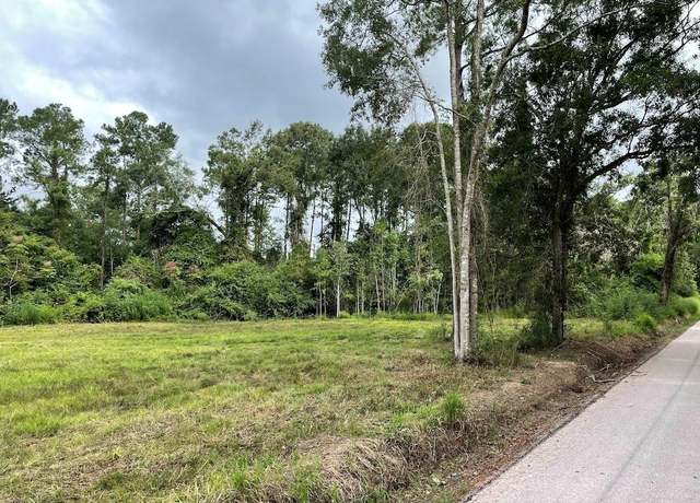 Property at Tbd Pankhurst, Kinder, LA 70648