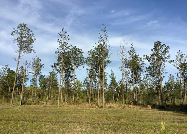 Property at Tbd Sandy Loop, Merryville, LA 70653