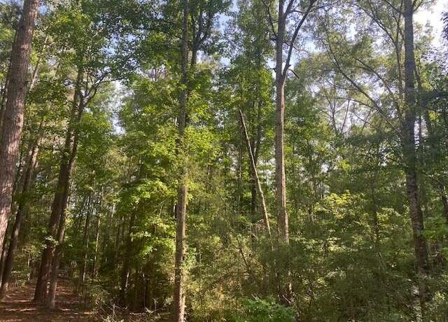 Property at Snell Rd, Hornbeck, LA 71439