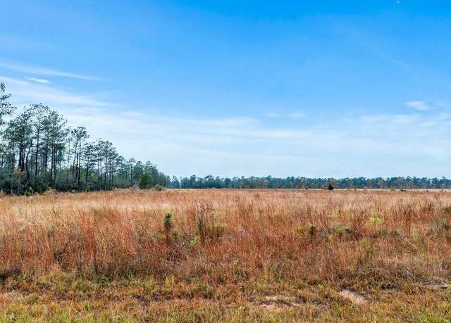 Property at Mccorquodale Rd, Longville, LA 70652