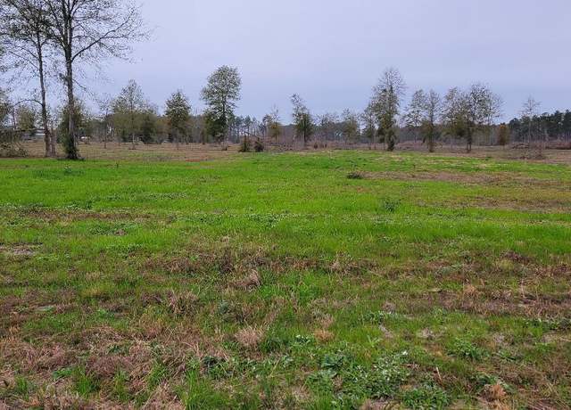Property at Tbd Hwy 27 Tract 2, Deridder, LA 70634