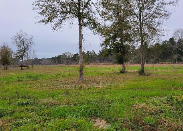 Property at Tbd Hwy 27 Tract 4, Deridder, LA 70634