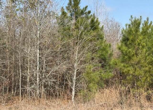 Property at Lot 3, Hwy 394, Deridder, LA 70633
