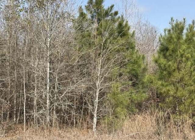Property at Lot 5, Hwy 394, Deridder, LA 70634