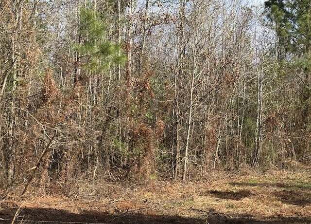 Property at Lot 6, Hwy 394, Deridder, LA 70633