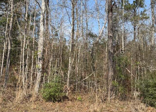 Property at Lot 12, Dr Brown Rd, Deridder, LA 70634