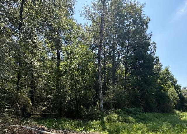Property at Hawks Rd, Leesville, LA 71446