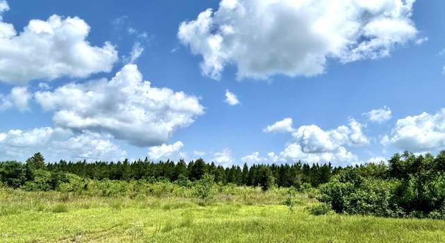 Photo of Sand Lake Rd, Merryville, LA 70653