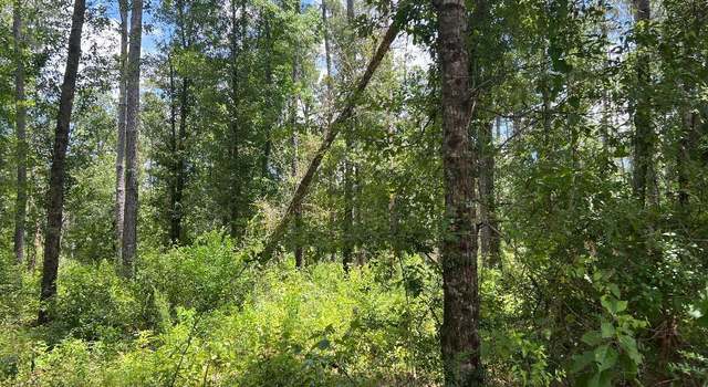Photo of Tom Bruce Rd, Longville, LA 70652
