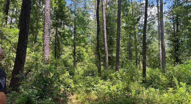 Photo of Tom Bruce Rd, Longville, LA 70652