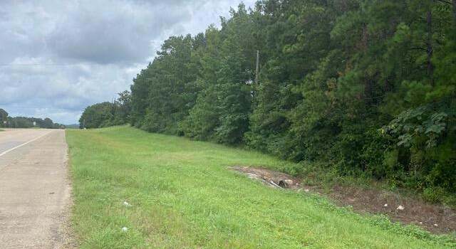 Photo of Hwy 171/north Loop, Hornbeck, LA 71439