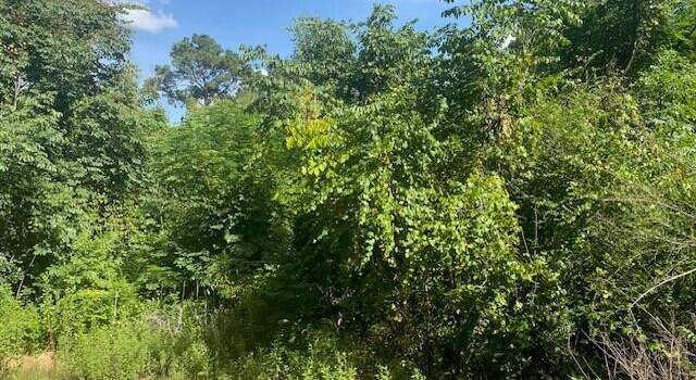 Photo of 352 Wolf Hl, Hornbeck, LA 71439