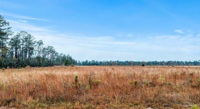 Photo of Alcock Rd, Longville, LA 70652
