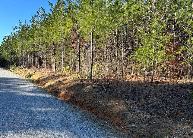 Property at Buckskin Rd, Green Bay, VA 23942