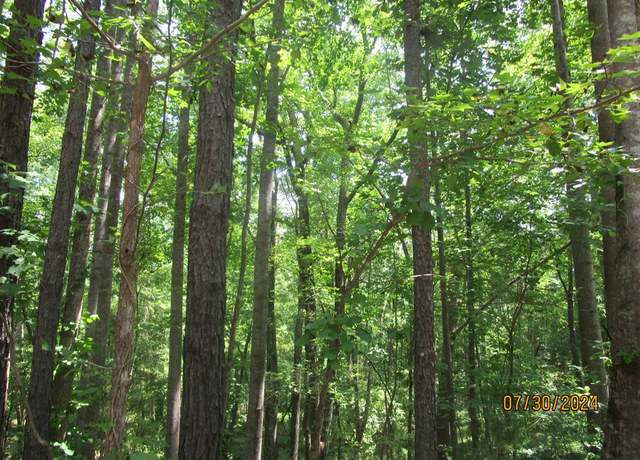 Property at 40 K-v, Victoria, VA 23974