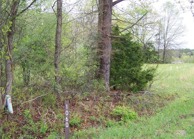 Property at 19 Acres Poplar Lawn Rd, Blackstone, VA 23824