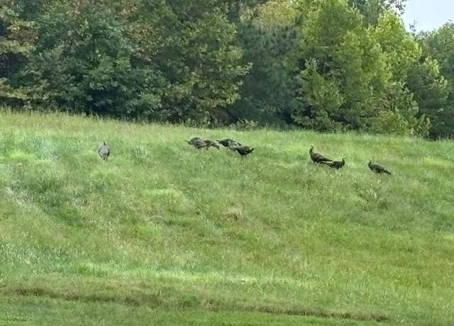 Property at End of Meriwood Farm Rd, Farmville, VA 23901