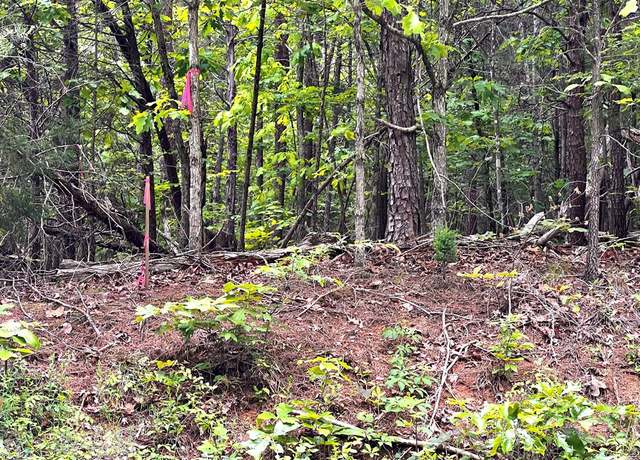 Property at Old Tower Hill Rd, Dillwyn, VA 23936