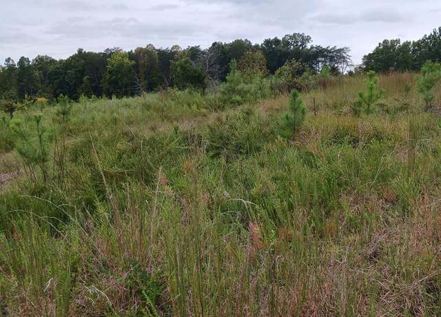 Property at 644 Buffalo Heights Rd, Farmville, VA 23901