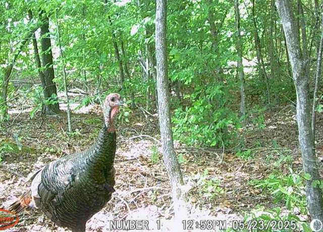 Property at Lees Mill Rd, Victoria, VA 23974