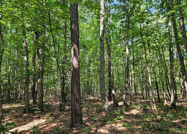 Property at 5 Ac Meadow Creek Rd, Wingina, VA 24599