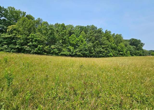 Property at Main St, Dillwyn, VA 23936