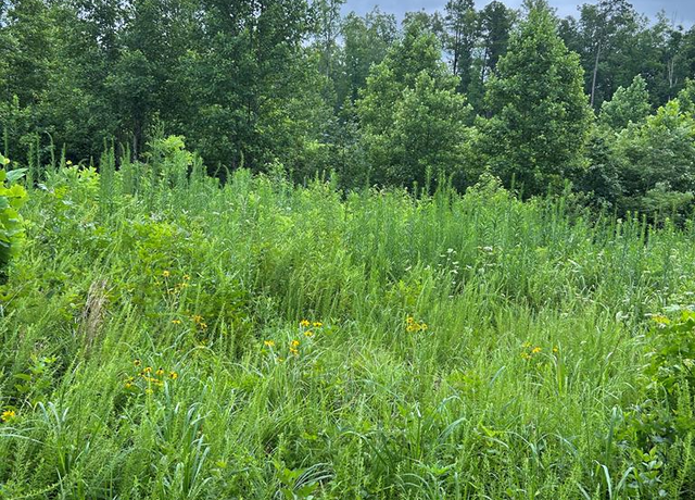 Property at 460 Prince Edward Hwy, Rice, VA 23966