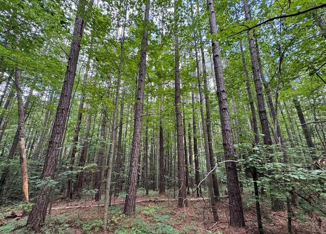 Property at Holiday Lake Rd, Appomattox, VA 24522