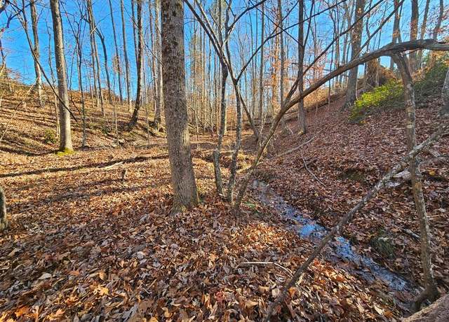 Property at Shelton Store, Wingina, VA 24599
