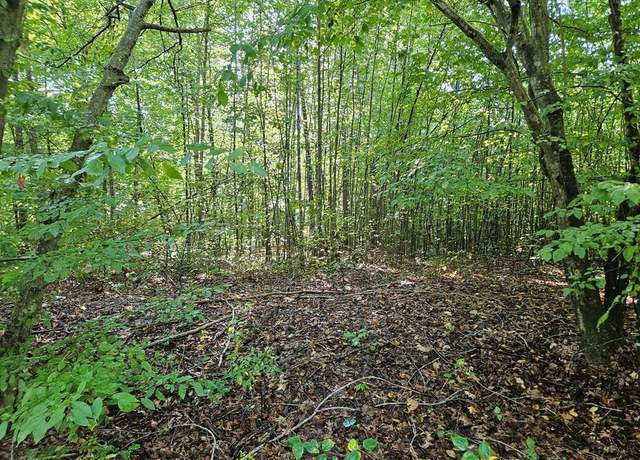 Property at Abilene Rd, Keysville, VA 23947