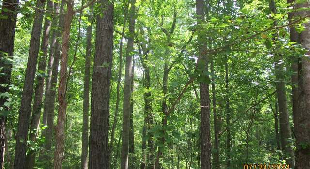 Photo of 40 K-v, Victoria, VA 23974