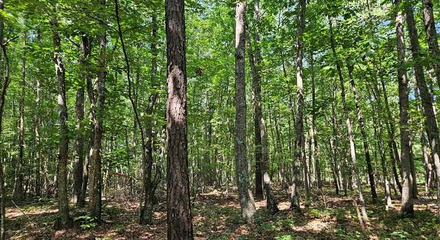 Photo of 5 Ac Meadow Creek Rd, Wingina, VA 24599