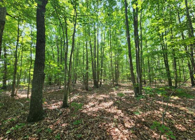 Property at 0 Richmond Hwy, Pamplin, VA 23958