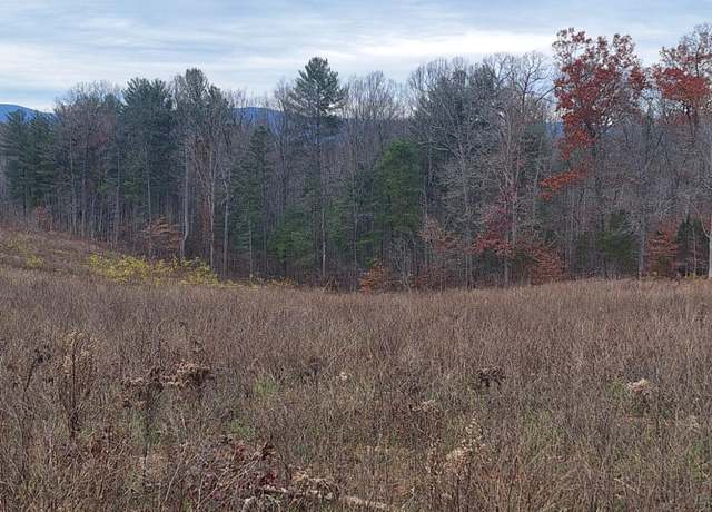 Property at 0 Fox Hall Dr, Amherst, VA 24521